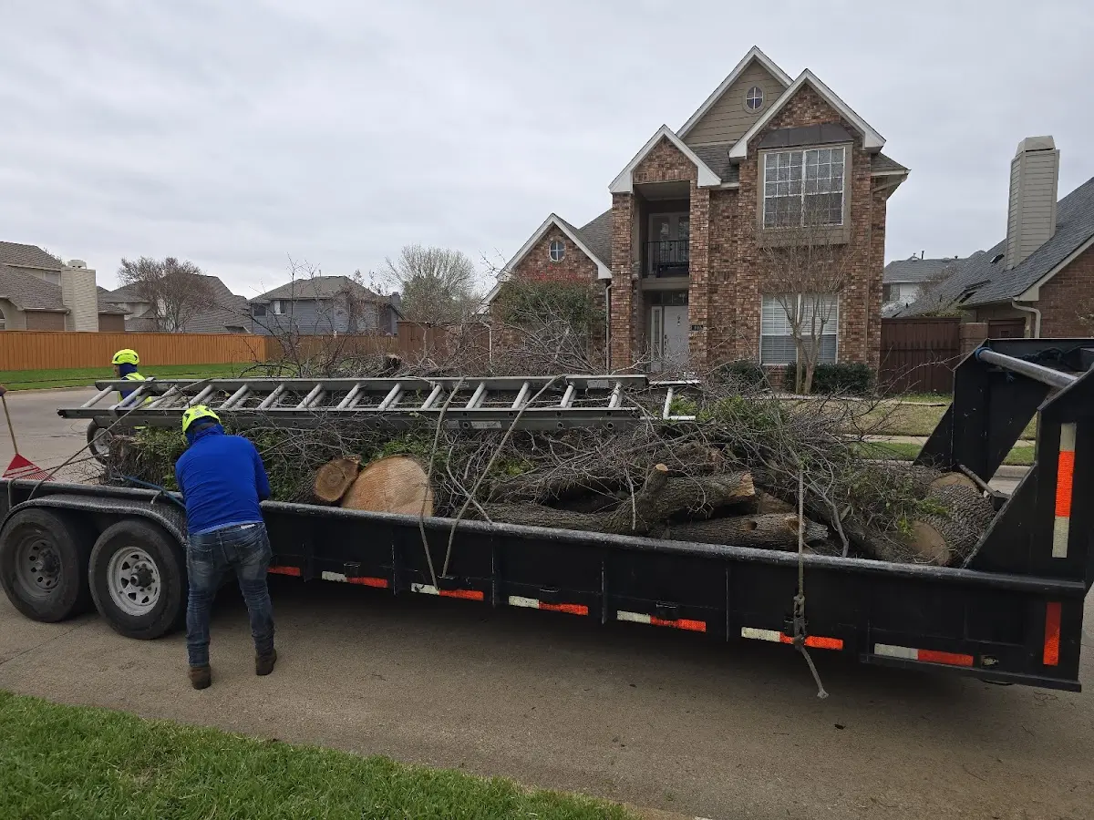 Expert Tree Fertilization with proper safety equipment in Pangburn